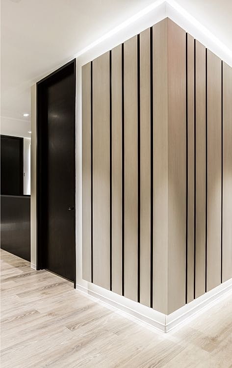 Body by Ravi Modern interior design with sleek wall panels.
