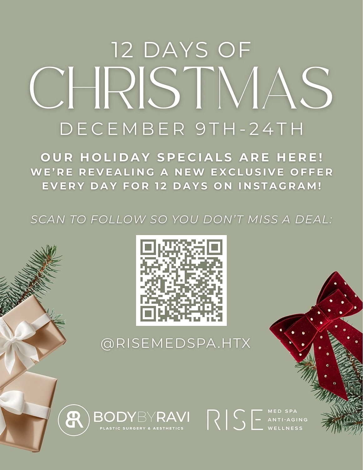 12 Days of Christmas holiday specials announcement